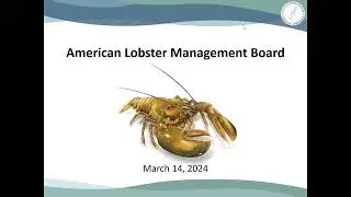 American Lobster Board Proceedings March 2024