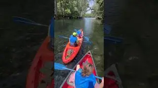 Первый опыт отдыха в кемпере.