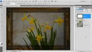 Creative Flower Photos - Quick Shots 04