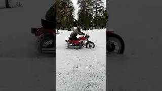 открыли сезон #memes #funny #furry #chapter3 #fortnite #юмор #anime #dance #art #мемы #восход3м