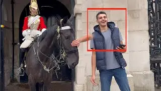 IDIOT HITS HORSE ACROSS THE FACE AND LAUGHS ABOUT HIS  ACHIEVEMENT (what an idiot)
