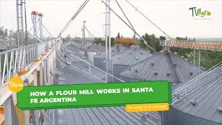How a flour mill works in Santa Fe Argentina