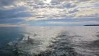 Прогулка по воде
