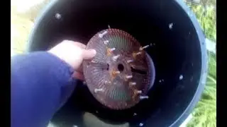 A homemade apple crusher. Very powerful and simple. Video by Vasily.