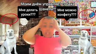 ⚡Моим днём управляет СОБАКА ШАНЕЛЬ!!!⚡