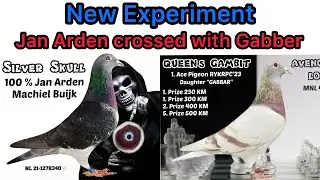 Jan Arden Male crossed with Gabber for a new experiment lets see what happens