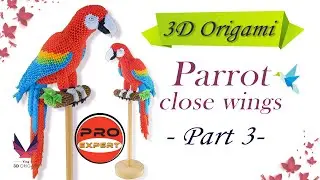 3D Origami Big Parrot_Close Wings_Part 3_Pro-Expert_Tutorial