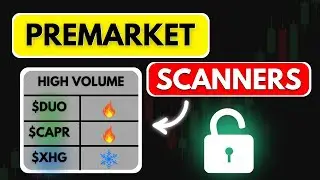 Day Trading Scanners Premarket Layout 