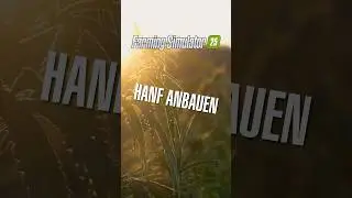 HANF anbauen im LS25?! 🌿 #shorts