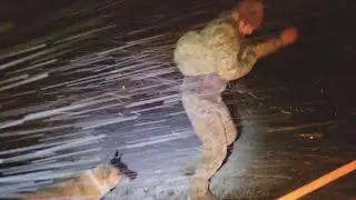 A Song of Wind and Snow