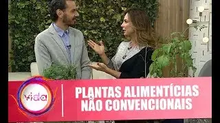 Aprenda a usar as PANCs (Plantas Alimentícias Não Convencionais) - Vida Melhor - 25/04/2018