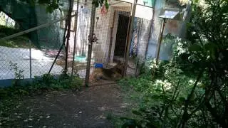 Ulli e la sua casa
