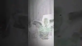 не люблю оставаться дома одна..