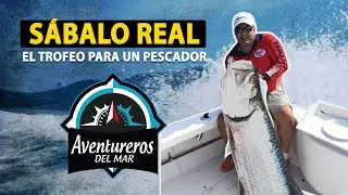 🔥💪🏽 Aventuras en la Pesca del Sábalo Real en las Costas de Panamá 🎣 🐟🐟🇵🇦