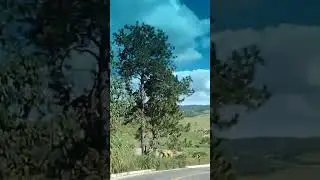 Estrada Santa Branca/Salesópolis