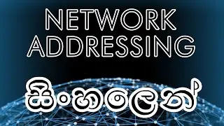 IP Addressing in Sinhala  | නෙට්වර්කින් සිංහලෙන්