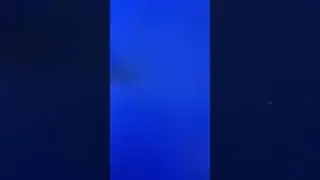 Kids learning video