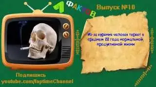 7 фактов #10 -Всё обо всем! И обо всех!