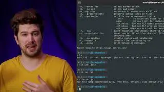 linux file command - the definitive guide to telling what type of file you have