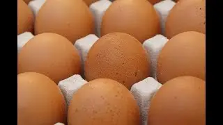 Products. Eggs.