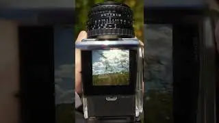Look through this film camera #filmphotography