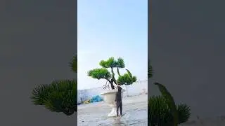 🔥😱Creative Videography #shorts #youtubeshorts #funny