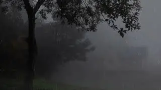 Pure Relaxing Rainstorm Sounds In Neighborhood View To Fall Asleep
