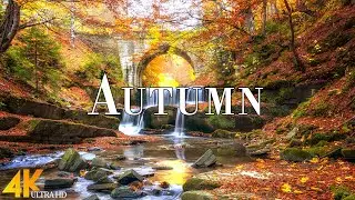 Autumn 4K Ultra HD • Stunning Footage Autumn, Scenic Relaxation Film with Calming Music.