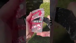 A Dad and his Boy were at a Poker Game