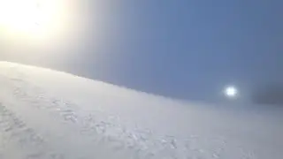 Ежики в тумане