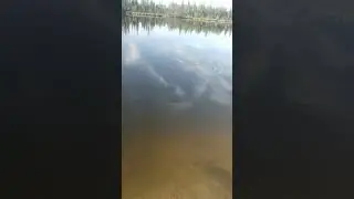 Вахта север 14.08.23 