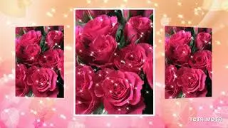 ♥ С днем рождения  🌹 Поздравления с днем рождения  ♥