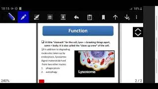 The fundamental unit of life class 9