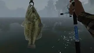 Fishing Planet 2021 - 4th July  - Fish Tag coordinates 4 - Complete