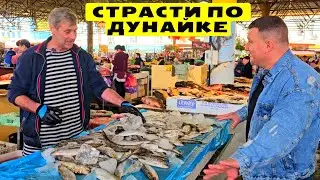 🛑 Дунайка ❌ Запрет снят! 🎥 Обзор цен на рИбу на Одесском Привозе 09.05.2024 ⚓