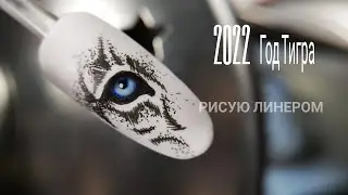 Eye of the Tiger. MK.