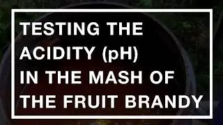 Testing the Acidity (pH) in the mash of the fruit brandy