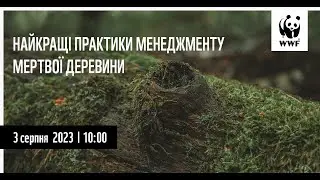 Презентація дослідження «Найкращі практики менеджменту мертвої деревини»