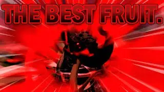 MAMMOTH IS THE BEST FRUIT | Blox Fruits Bounty Hunt + Combo Showcase