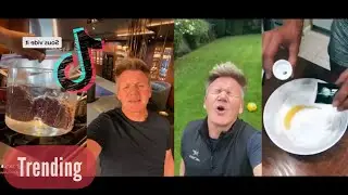 Gordon Ramsay vs Bad Chefs on TikTok and it is Hilarious