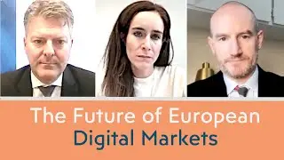 Andreas Schwab, Dóra Dávid, Johnny Ryan: What's Next for European Digital Markets | Pan-European Way