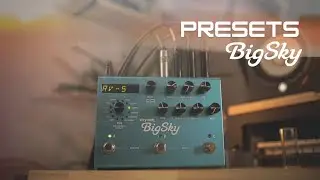 Meus presets no BIGSKY - Ambience, RV-5, Slapback, Cloud, Sweels, Plate, Spring