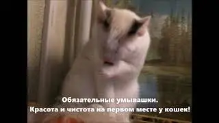 Мурыч стал  совсем большой