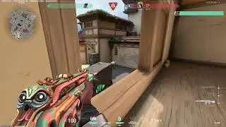 This is why phantom is better than vandal