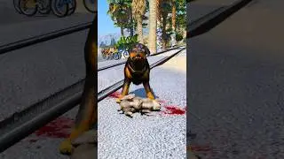 Dogs teach us love in its purest form | Part 184 |🥺
