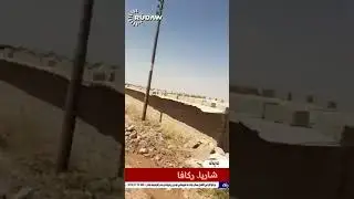 شاريا ..ركافا