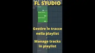FL Studio - Organizzare le tracce nella Playlist - Manage tracks in Playlist 