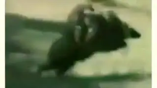 УГРИЛАР КУЛГА ТУШДИ - UGRILAR QULGA TUSHDI