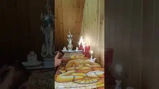 ВЫ 👉 В ЕГО ГОЛОВЕ С САМОГО УТРА! / PROTARO 1233