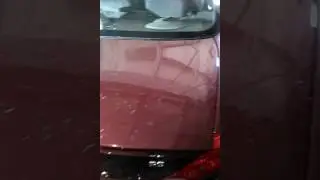 Удаление следов от тополиных почек на автомобиле
